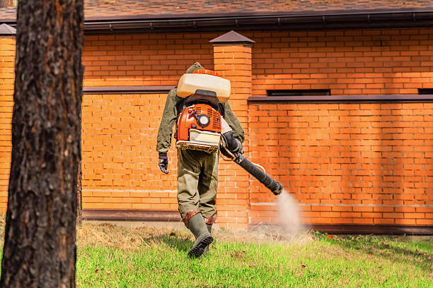 Trusted Termite Control service in Seco Mines, TX - Nex Pest Control